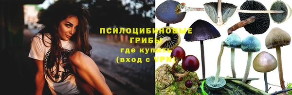 ешки Арсеньев
