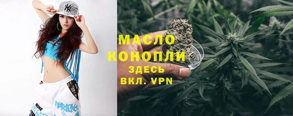 хмурый Аркадак