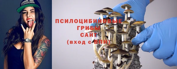 хмурый Аркадак