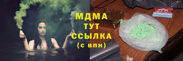 хмурый Аркадак