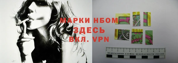 хмурый Аркадак