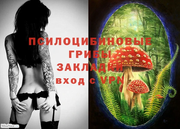 хмурый Аркадак