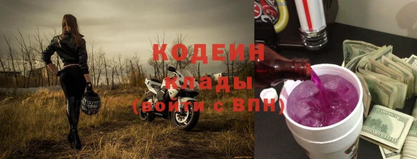 хмурый Аркадак